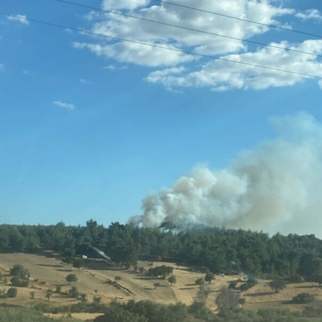 Çanakkale'de orman yangını
