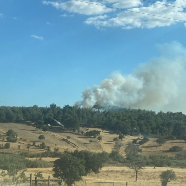 Çanakkale'de tarım arazisinde başlayan yangın ormanlık alana sıçradı