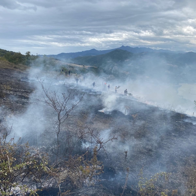 Samsun'da çıkan örtü yangınında 150 dekar alan zarar gördü