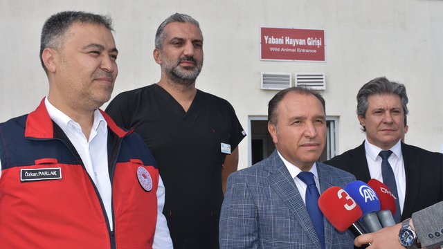 Afyonkarahisar'da tedavileri tamamlanan 35 yabani kuş doğaya salındı