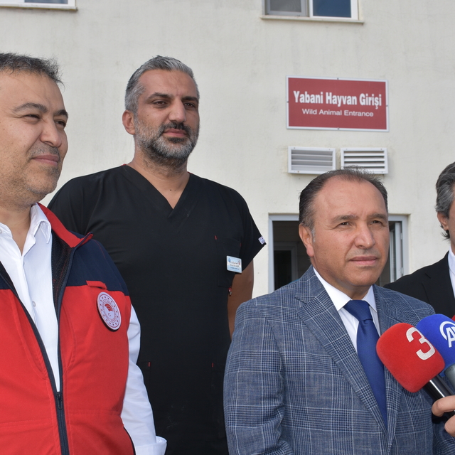 Afyonkarahisar'da tedavileri tamamlanan 35 yabani kuş doğaya salındı