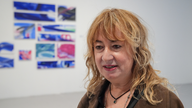 Galeri