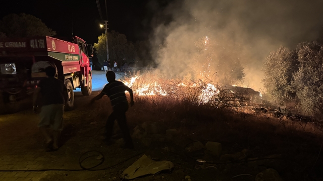 Muğla'da zeytinlik ve makilik alanda çıkan yangın söndürüldü