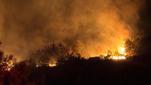 Antalya'nın Alanya ilçesinde ormanlık alanda yangın çıktı