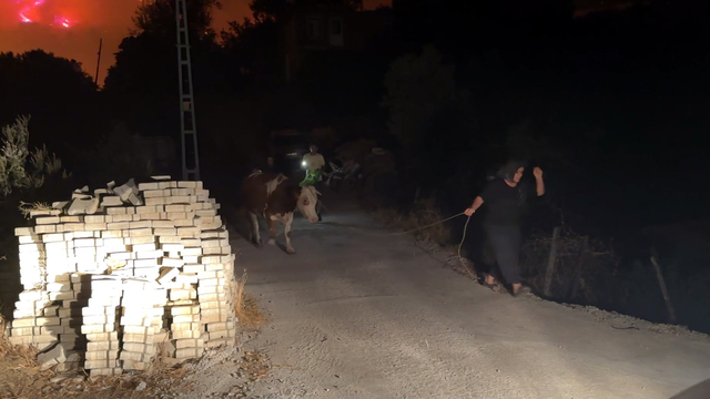 Antalya'da orman yangını (2)