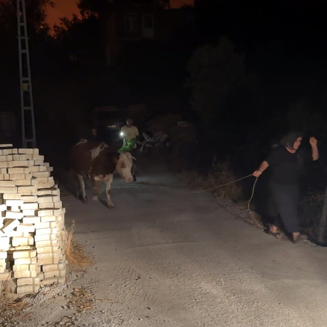 Antalya'da orman yangını (2)