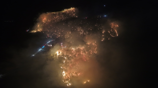 Muğla'da orman yangını (3)