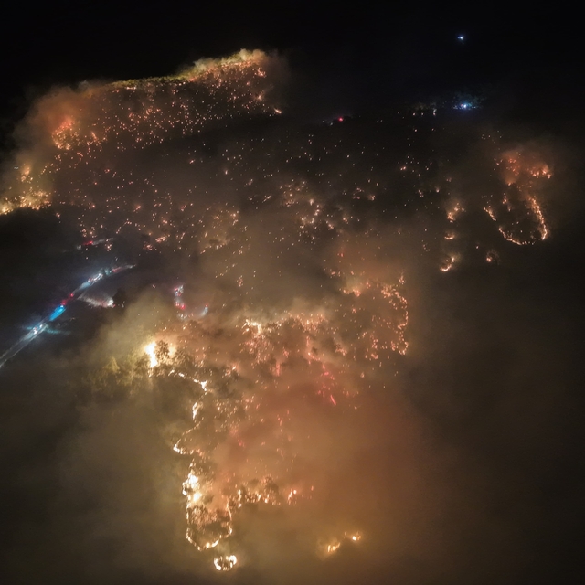 Muğla'da orman yangını (3)