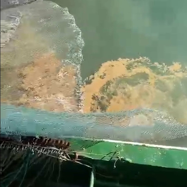 Marmara Denizi'nde müsilaj tehdidi