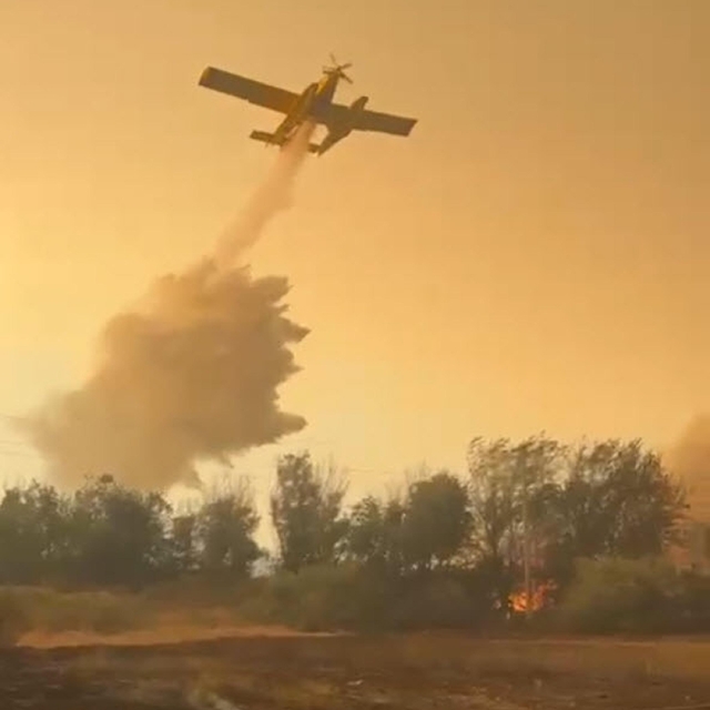 Muğla Milas'daki yangın Aydın'a sıçradı