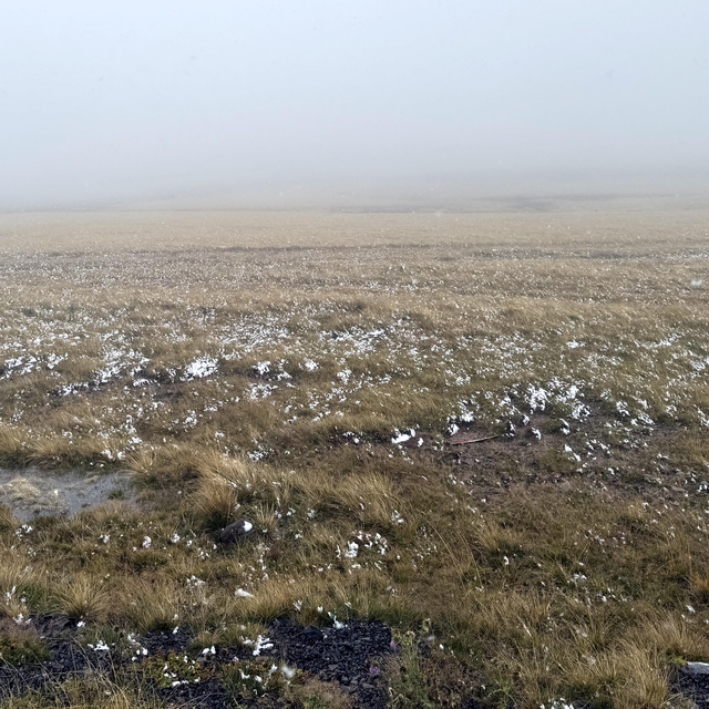 Ardahan'ın yükseklerine eylülde kar yağdı