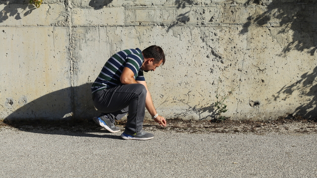 Çankırı'da yalnızca okyanus veya Akdeniz ikliminde görülen kara yosunu türü bulundu