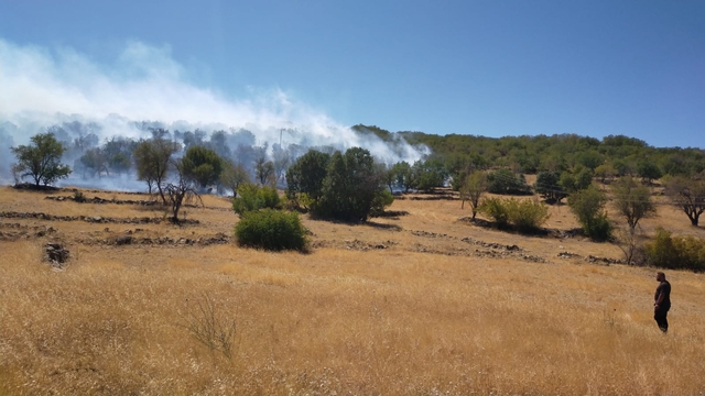 Diyarbakır'da 3 farklı noktada yangın; 2'si kontrol altında, biri sürüyor