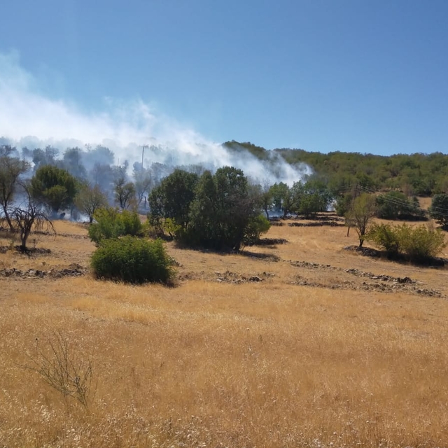 Diyarbakır'da 3 farklı noktada yangın; 2'si kontrol altında, biri sürüyor