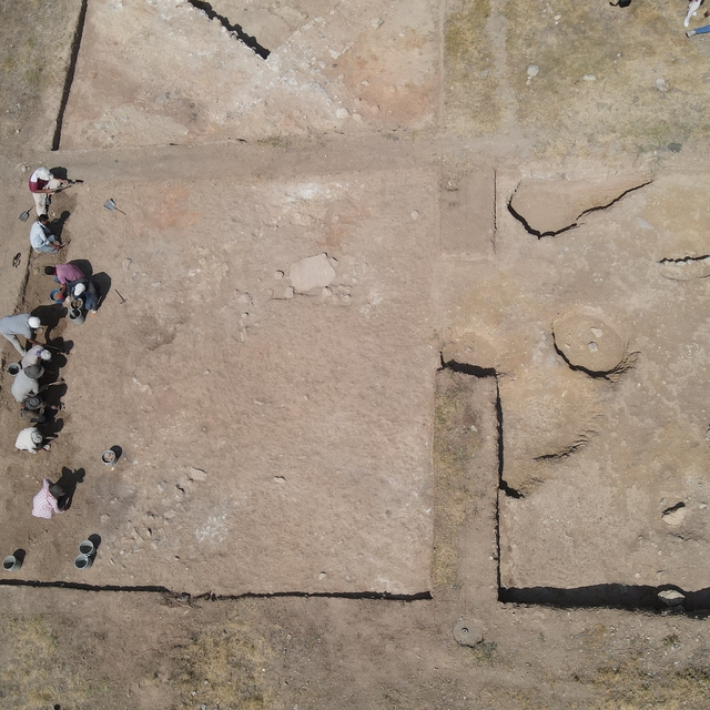 Nerik'te 3 bin 500 yıllık fındık fosili bulundu