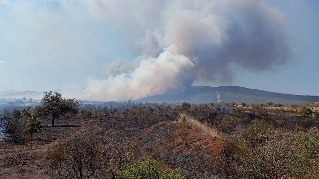 Çanakkale'de tarım arazisinde çıkan yangına havadan ve karadan müdahale ediliyor