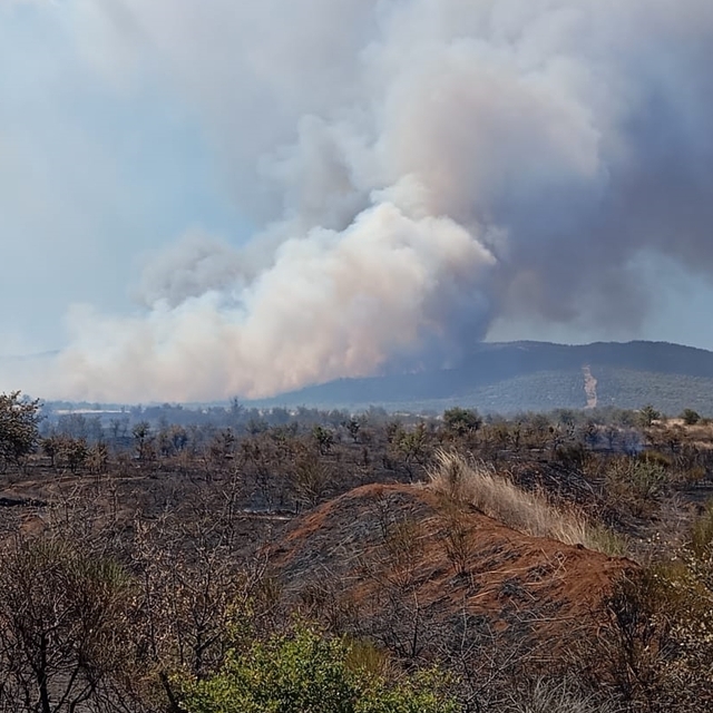 Çanakkale'de tarım arazisinde çıkan yangına havadan ve karadan müdahale edi...