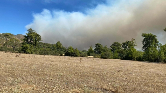 Muğla Köyceğiz'deki orman yangınında 108 ev boşaltıldı, 357 kişi tahliye edildi (2)
