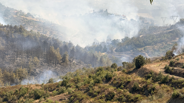 Alanya'daki orman yangınında 2'nci gün (4)