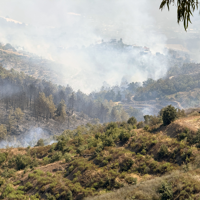 Alanya'daki orman yangınında 2'nci gün (4)