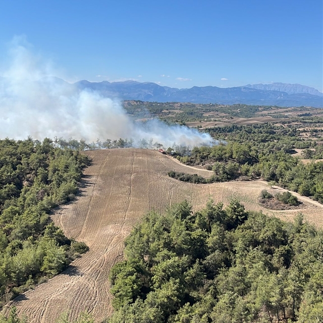 Adana'nın Sarıçam ilçesinde orman yangını çıktı