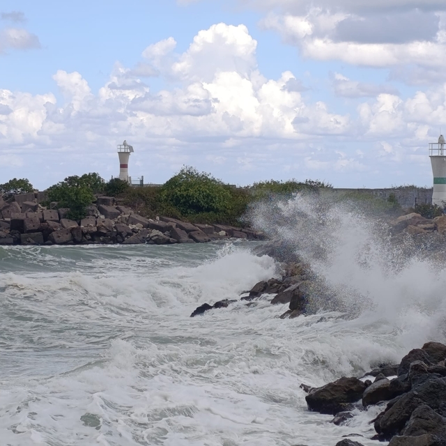 Akçakoca'da kuvvetli rüzgar etkili oldu