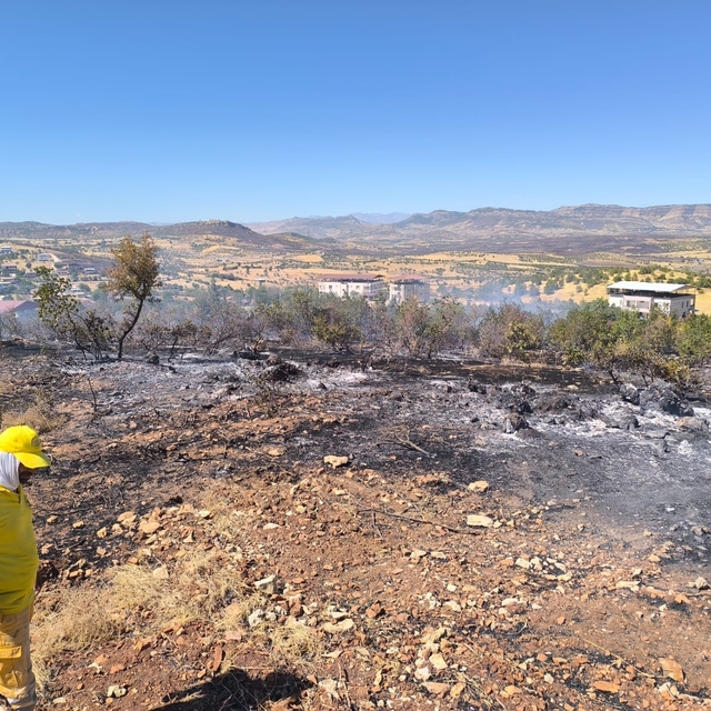 Diyarbakır'da 3 ayrı noktada çıkan örtü yangınları söndürüldü