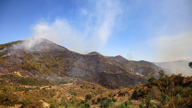 Alanya'daki orman yangınında 2'nci gün (5)