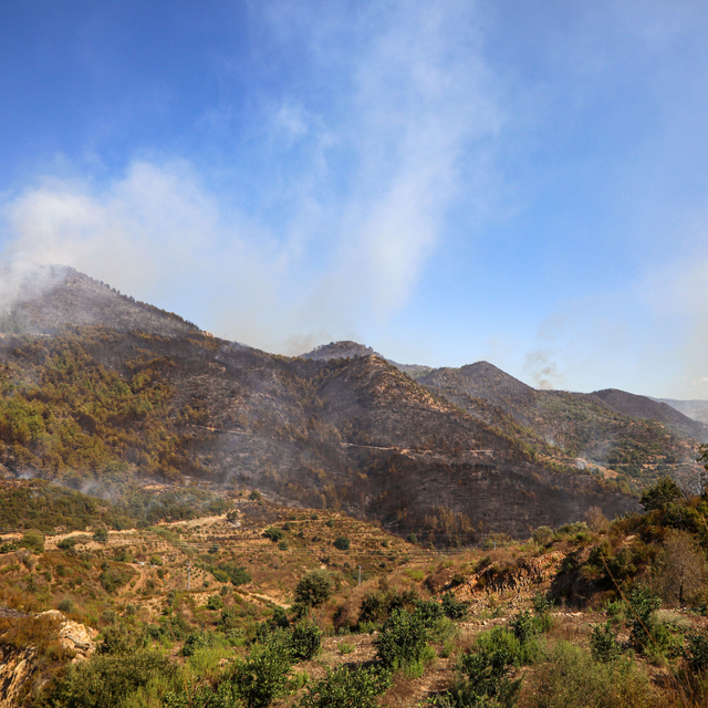 Alanya'daki orman yangınında 2'nci gün (5)