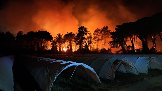 Antalya'da orman yangını; 2 otel tahliye edildi