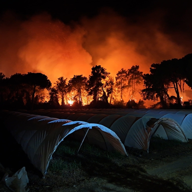 Antalya'da orman yangını; 2 otel tahliye edildi