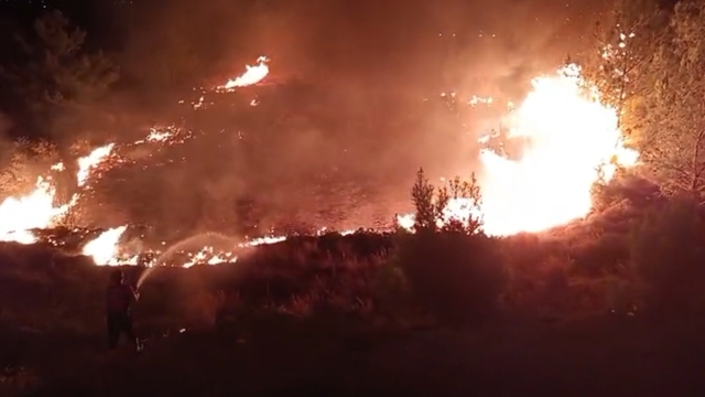 Düğünde atılan havai fişekler yangın çıkardı; alevler ormana sıçramadan söndürüldü