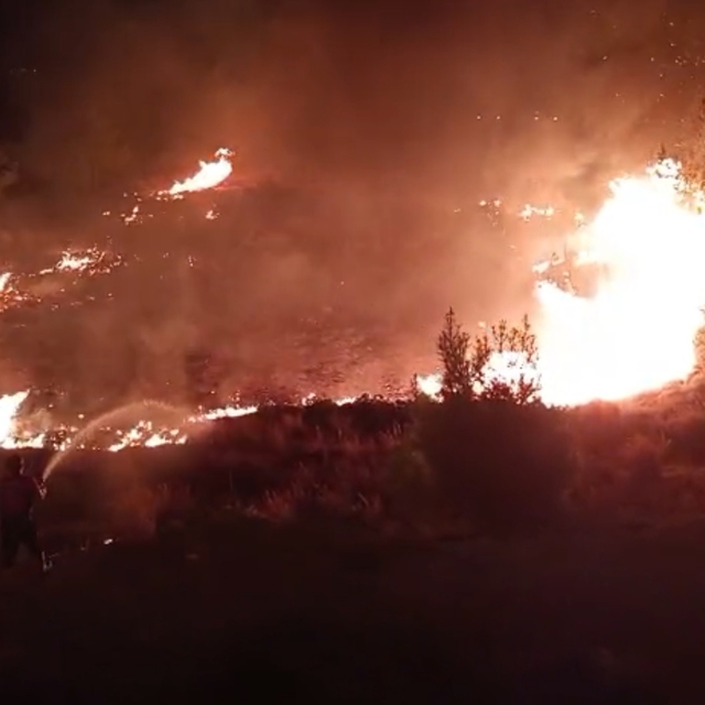 Düğünde atılan havai fişekler yangın çıkardı; alevler ormana sıçramadan sön...