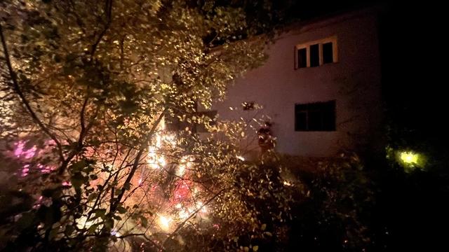 Adana'da çalılık alanda çıkan yangında bir kişi dumandan etkilendi