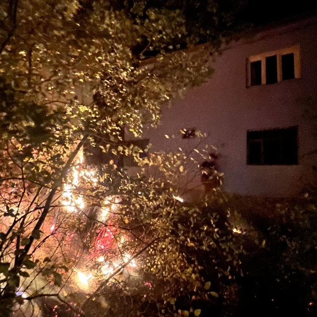 Adana'da çalılık alanda çıkan yangında bir kişi dumandan etkilendi