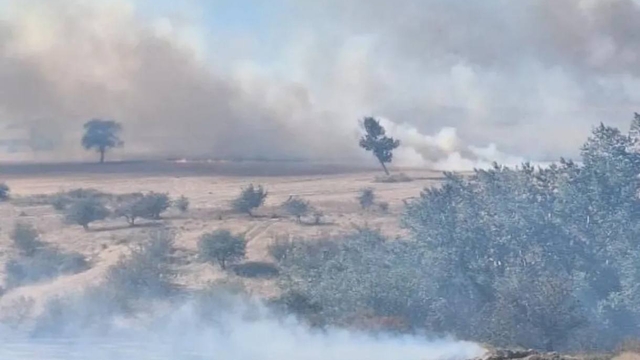 Edirne'de buğday tarlasından ağaçlara sıçrayan yangın söndürüldü