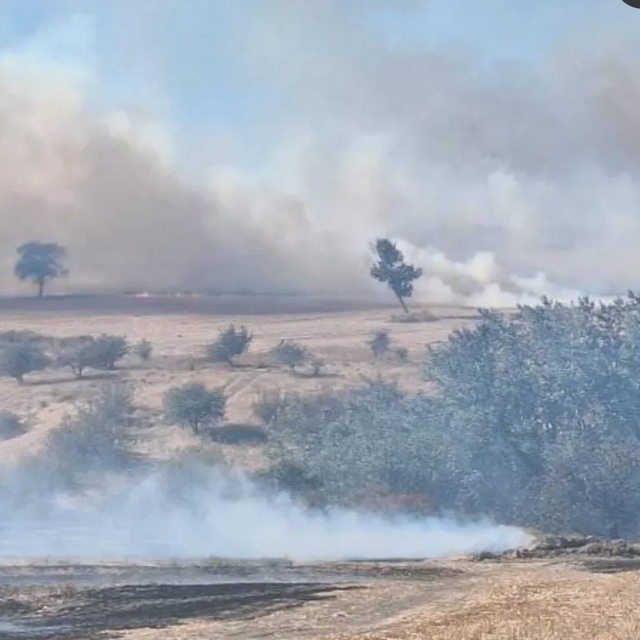Edirne'de buğday tarlasından ağaçlara sıçrayan yangın söndürüldü