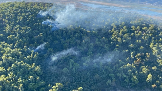 Milas'ta çıkan orman yangınına havadan ve karadan müdahale ediliyor