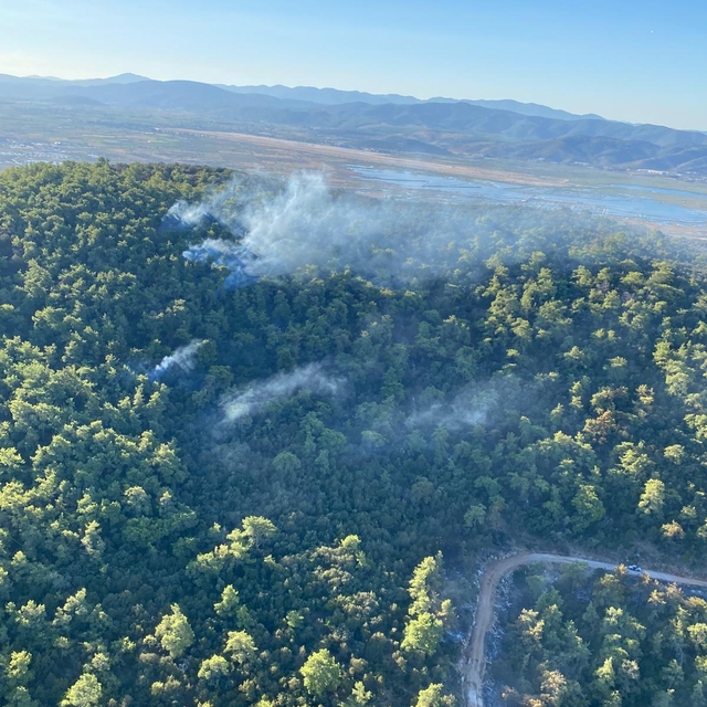 Milas'ta çıkan orman yangınına havadan ve karadan müdahale ediliyor