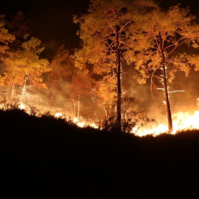Alanya'daki orman yangınında 3'üncü gün