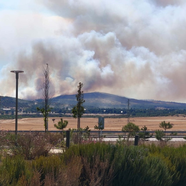 Çanakkale'deki orman yangını kontrol altında