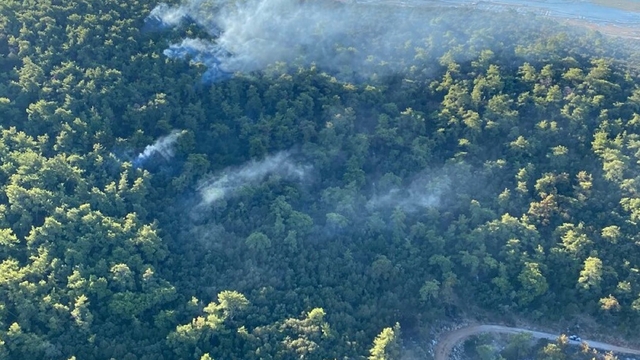 Muğla Milas'taki orman yangınında 2'nci gün