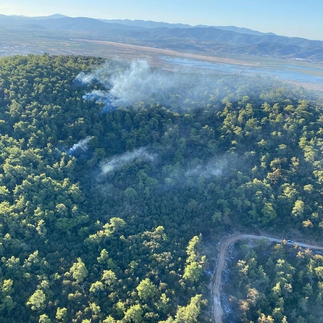 Muğla Milas'taki orman yangınında 2'nci gün