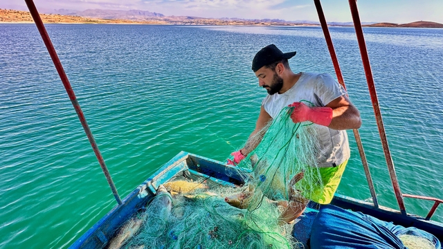 Denizi olmayan Tunceli'de balık avlayarak ayda 200 bin lira kazanıyor