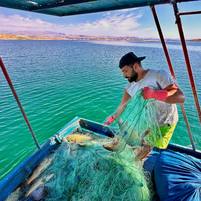 Denizi olmayan Tunceli'de balık avlayarak ayda 200 bin lira kazanıyor