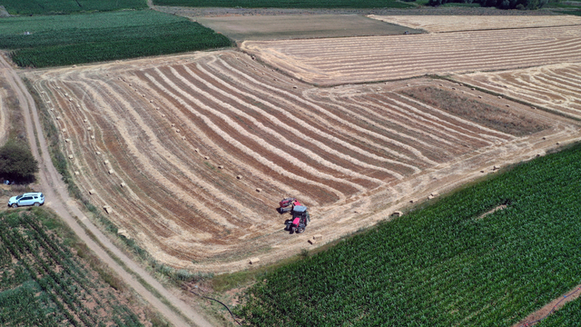 Omuz omuza veren üniversite mezunu genç çift, çiftçilik yapıyor