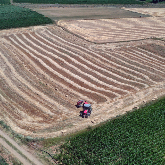 Omuz omuza veren üniversite mezunu genç çift, çiftçilik yapıyor