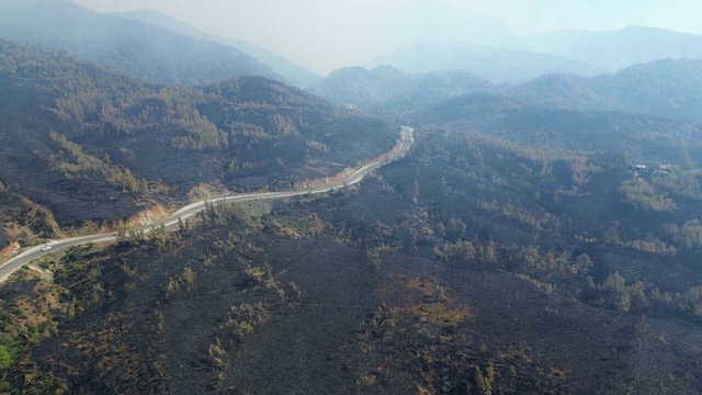 Muğla Köyceğiz'deki orman yangınında 2'nci gün (2)