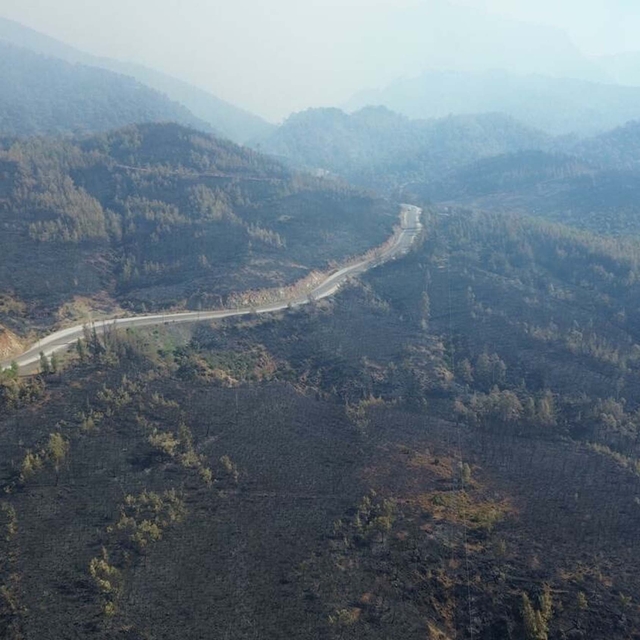 Muğla Köyceğiz'deki orman yangınında 2'nci gün (2)