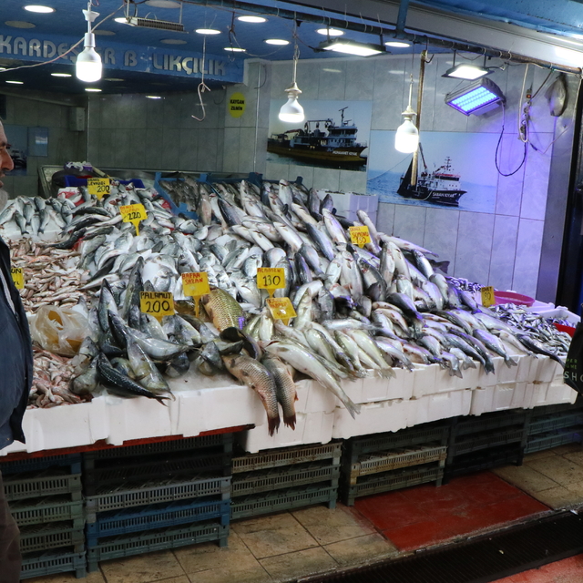 Tezgahlarda balık çeşidi arttı; Karadeniz hamsisi de yolda